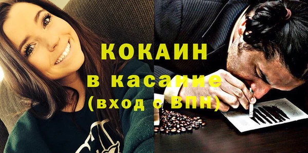 трава Новозыбков