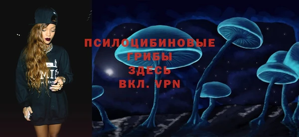 трава Новозыбков