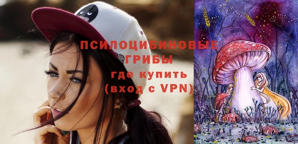 apvp Новодвинск