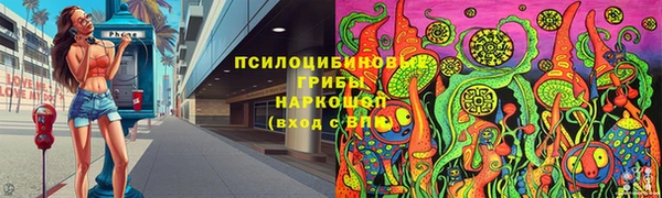 гидропоника Няндома
